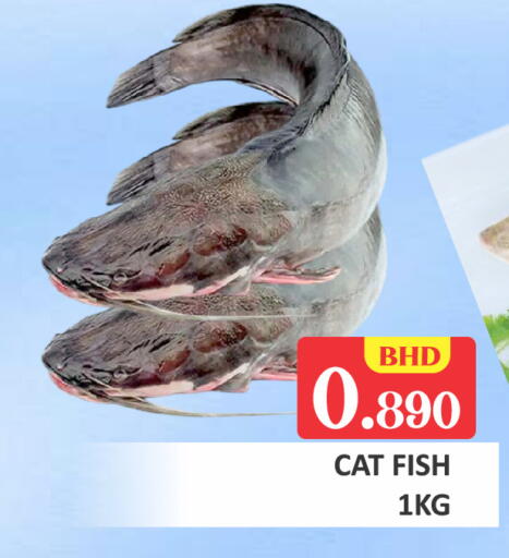 available at Talal Markets in Bahrain