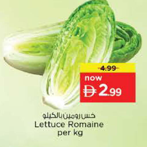 Lettuce available at نستو هايبرماركت in الإمارات العربية المتحدة , الامارات - الشارقة / عجمان