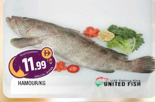 available at المدينة in الإمارات العربية المتحدة , الامارات - الشارقة / عجمان