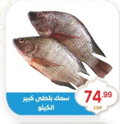 available at أولاد المحاوى in Egypt - القاهرة