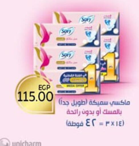 available at أولاد المحاوى in Egypt - القاهرة