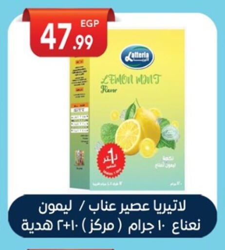 Lemon Mint available at أولاد المحاوى in Egypt - القاهرة