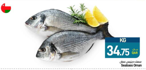 available at ســبــار in قطر - الريان