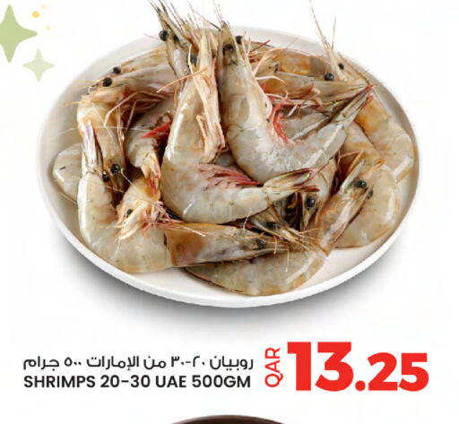 available at أنصار جاليري in قطر - الريان