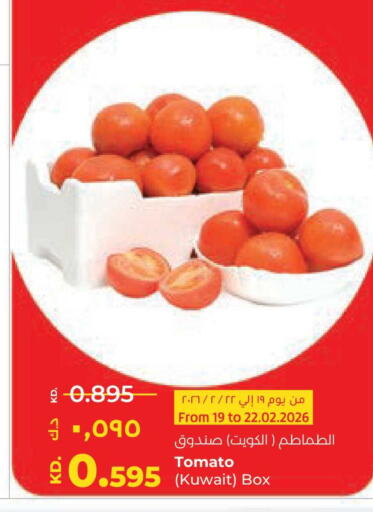 Tomato from Kuwait available at Lulu Hypermarket  in Kuwait - Ahmadi Governorate