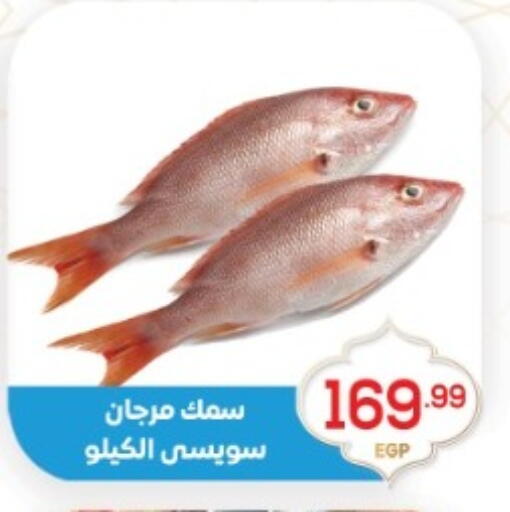 available at أولاد المحاوى in Egypt - القاهرة