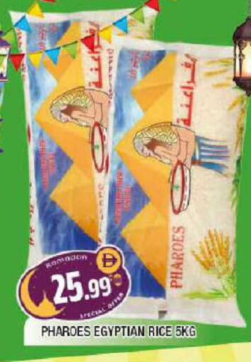 available at المدينة in الإمارات العربية المتحدة , الامارات - الشارقة / عجمان