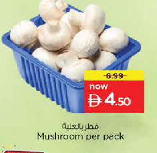 Mushroom available at نستو هايبرماركت in الإمارات العربية المتحدة , الامارات - الشارقة / عجمان