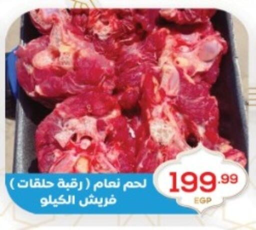 available at أولاد المحاوى in Egypt - القاهرة