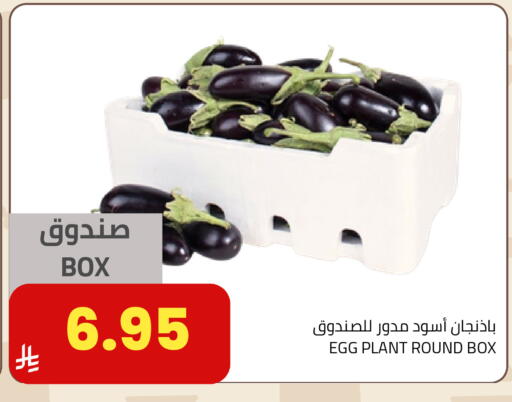 available at Astra Markets in KSA, Saudi Arabia, Saudi - Tabuk