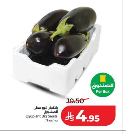 Eggplant from Saudi Arabia available at لولو هايبرماركت in مملكة العربية السعودية, السعودية, سعودية - جدة