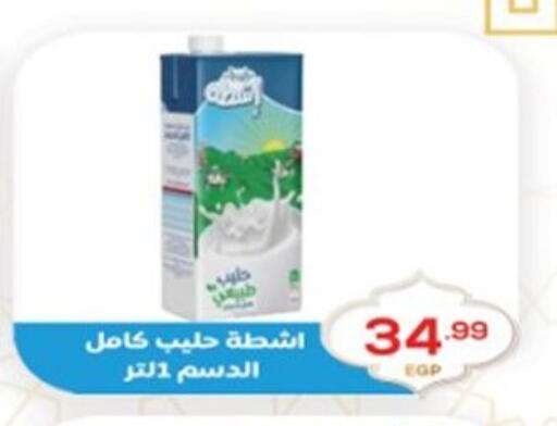 available at أولاد المحاوى in Egypt - القاهرة