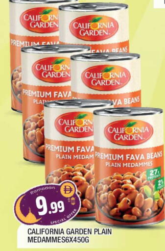 available at المدينة in الإمارات العربية المتحدة , الامارات - الشارقة / عجمان