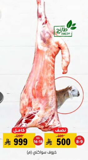 available at العامر للتسوق in مملكة العربية السعودية, السعودية, سعودية - الأحساء‎