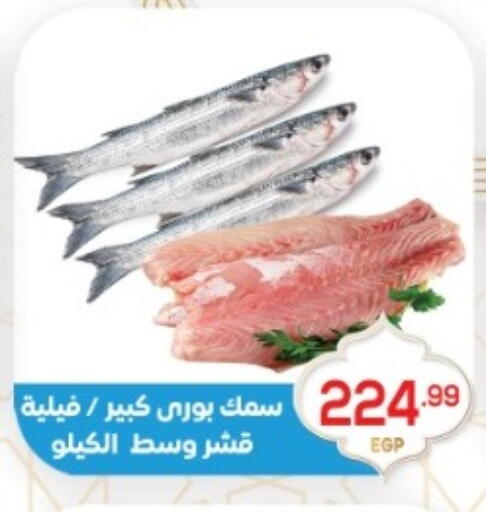 available at أولاد المحاوى in Egypt - القاهرة