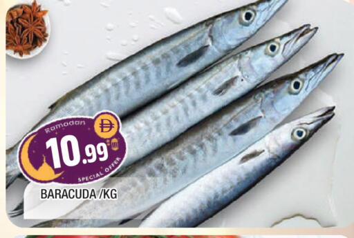 available at المدينة in الإمارات العربية المتحدة , الامارات - الشارقة / عجمان