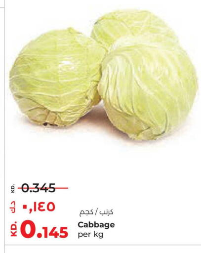 Cabbage available at Lulu Hypermarket  in Kuwait - Jahra Governorate