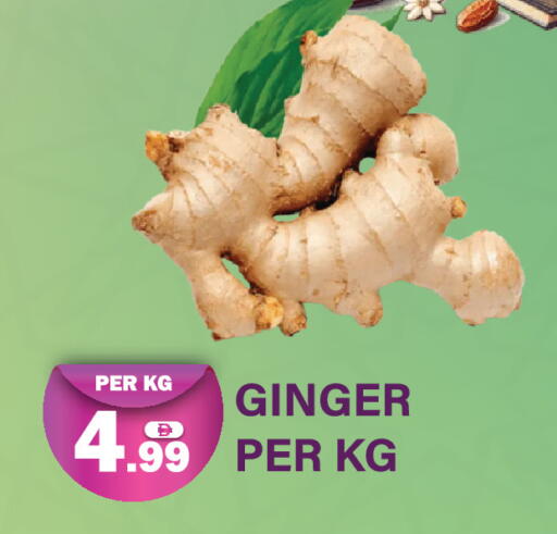 Ginger available at دريم لاند in الإمارات العربية المتحدة , الامارات - دبي