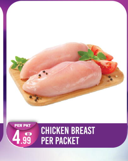 available at دريم لاند in الإمارات العربية المتحدة , الامارات - دبي