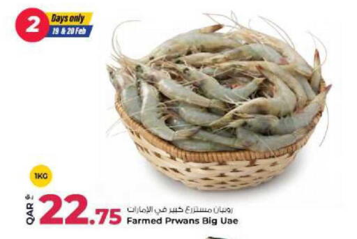 available at Rawabi Hypermarket in Qatar - Al Wakra