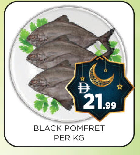 available at عين المدينة هايبرماركت in الإمارات العربية المتحدة , الامارات - الشارقة / عجمان