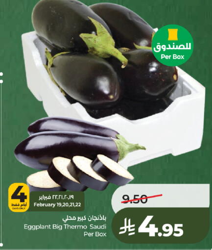 Eggplant from Saudi Arabia available at LULU Hypermarket in KSA, Saudi Arabia, Saudi - Yanbu