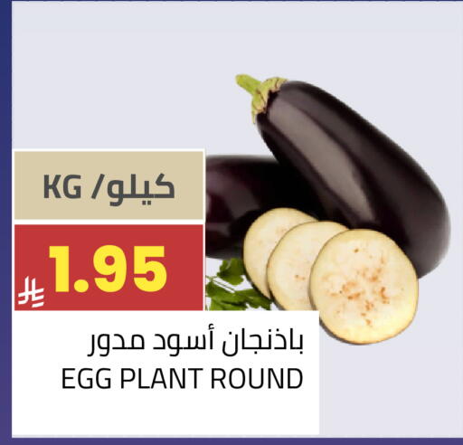 available at Astra Markets in KSA, Saudi Arabia, Saudi - Tabuk