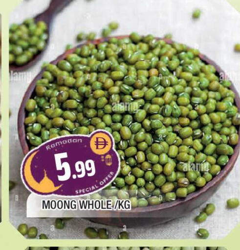 available at المدينة in الإمارات العربية المتحدة , الامارات - الشارقة / عجمان