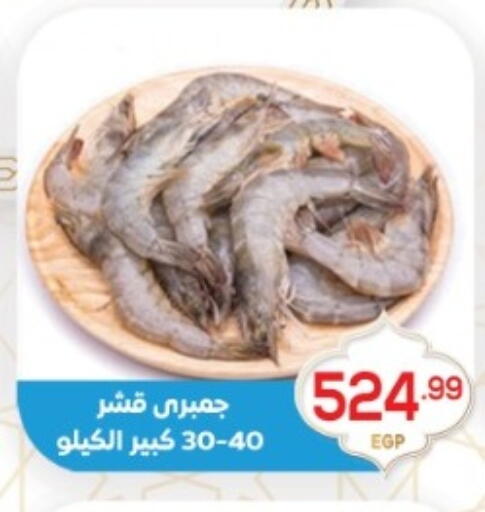 available at أولاد المحاوى in Egypt - القاهرة