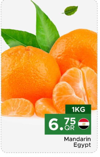 Mandarin from Egypt available at مركز التموين العائلي in قطر - الخور