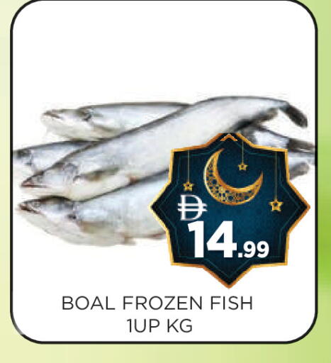 available at عين المدينة هايبرماركت in الإمارات العربية المتحدة , الامارات - الشارقة / عجمان