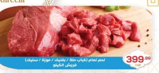 available at أولاد المحاوى in Egypt - القاهرة