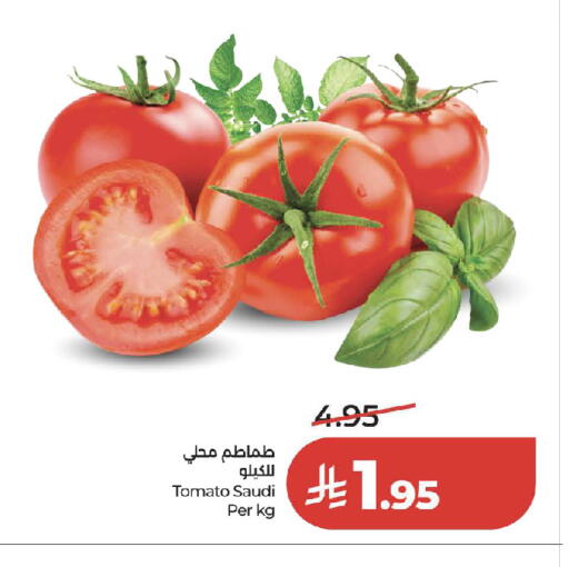 Tomato from Saudi Arabia available at لولو هايبرماركت in مملكة العربية السعودية, السعودية, سعودية - جدة