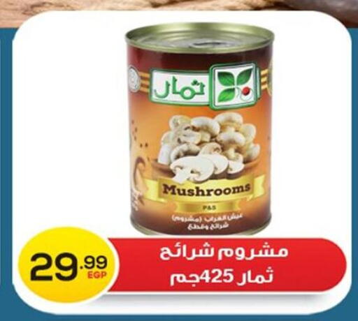 available at أولاد المحاوى in Egypt - القاهرة