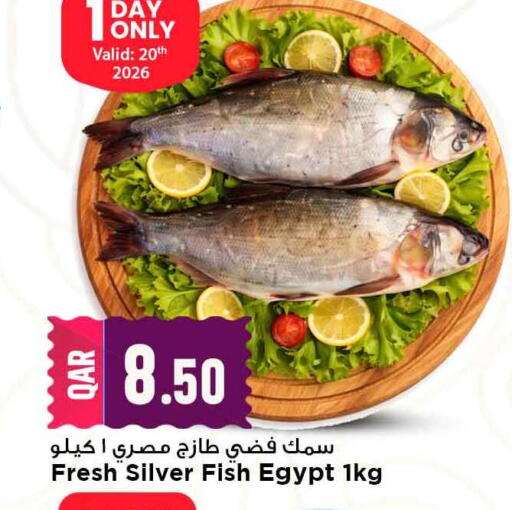 available at Marza Hypermarket in Qatar - Al Daayen