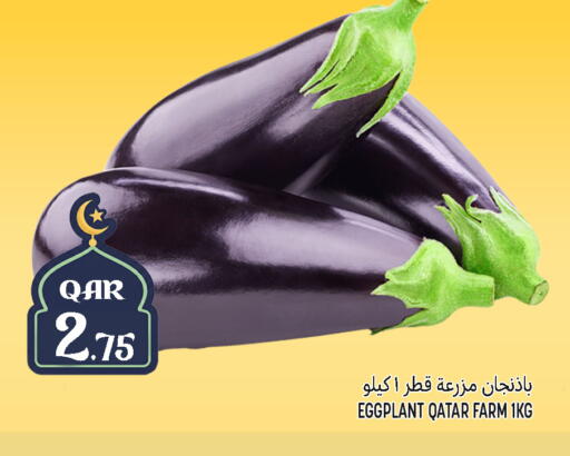 Eggplant from Qatar available at Food Palace Hypermarket in Qatar - Umm Salal