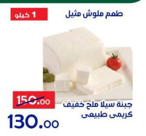 available at الدنيا بخير in Egypt - القاهرة