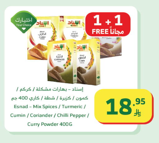 Turmeric Coriander Cumin Chilli Pepper available at Al Raya in KSA, Saudi Arabia, Saudi - Tabuk