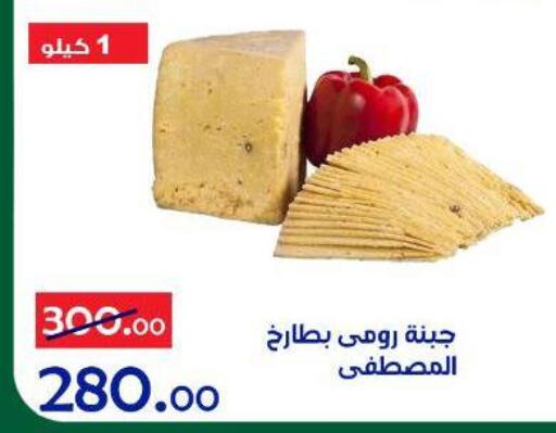 available at الدنيا بخير in Egypt - القاهرة