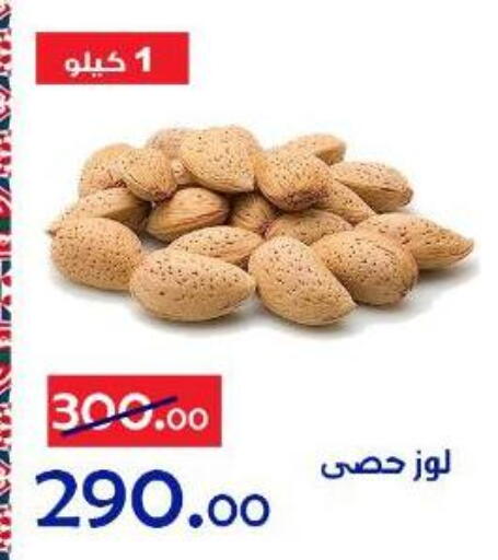 available at الدنيا بخير in Egypt - القاهرة