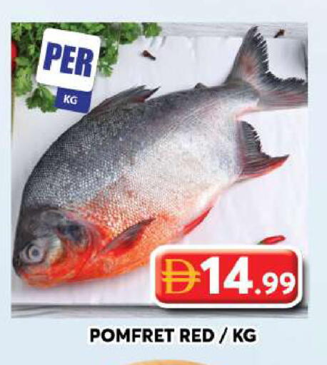 available at جراند هايبر ماركت in الإمارات العربية المتحدة , الامارات - دبي