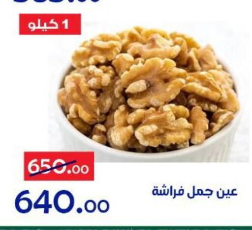 available at Aldoneia Bkheir ismailia  in Egypt - Cairo