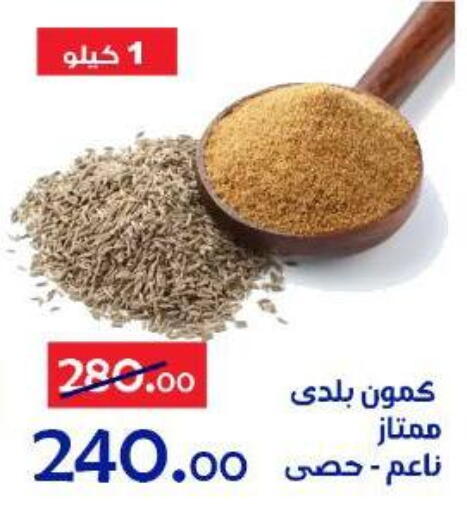 available at الدنيا بخير in Egypt - القاهرة