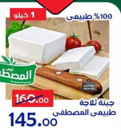 available at الدنيا بخير in Egypt - القاهرة