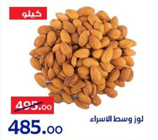 available at الدنيا بخير in Egypt - القاهرة