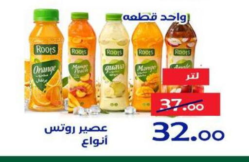 Orange Mango available at Aldoneia Bkheir ismailia  in Egypt - Cairo