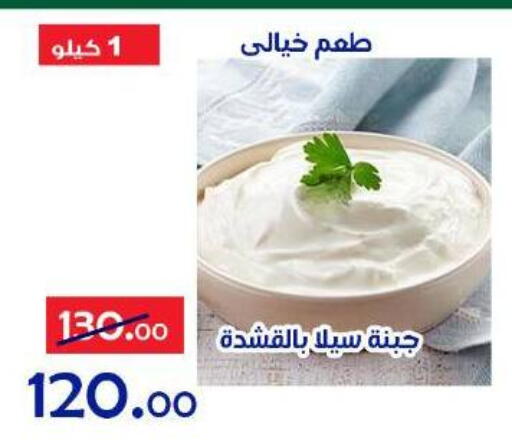 available at الدنيا بخير in Egypt - القاهرة
