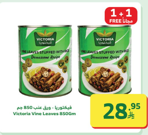 available at Al Raya in KSA, Saudi Arabia, Saudi - Tabuk