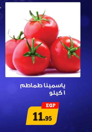 available at Awlad Ragab in Egypt - Cairo