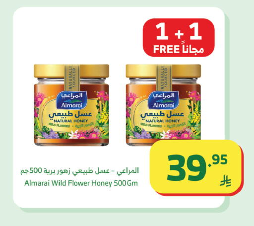 available at Al Raya in KSA, Saudi Arabia, Saudi - Tabuk